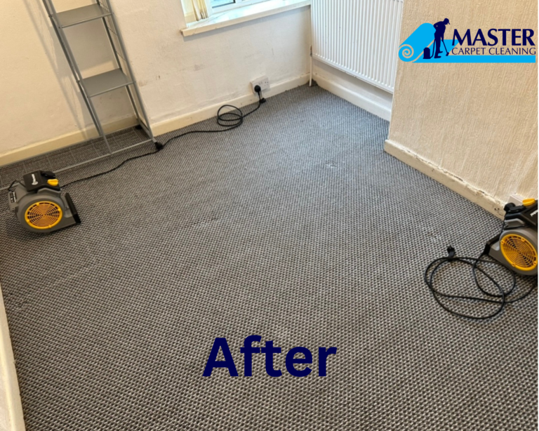 Professional carpet cleaning Cardiff picture after carpet cleaning