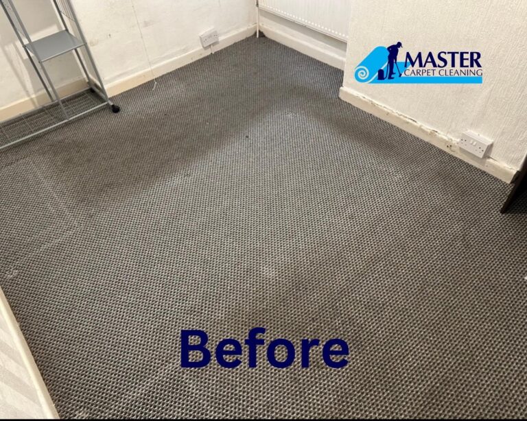 Professional carpet cleaning Cardiff picture before carpet cleaning