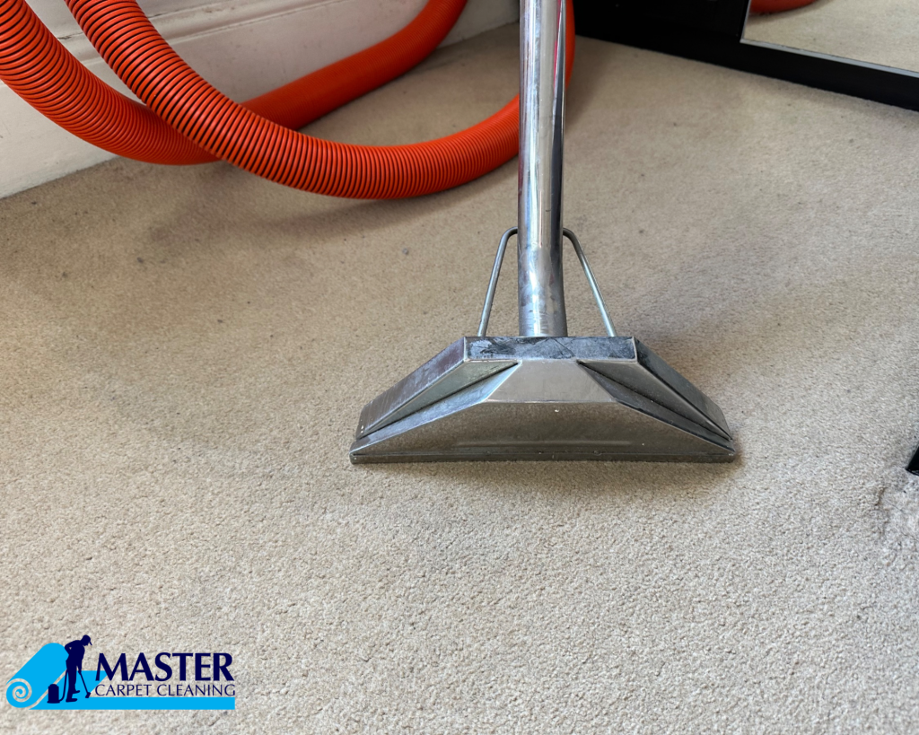 strategies for carpet cleaning